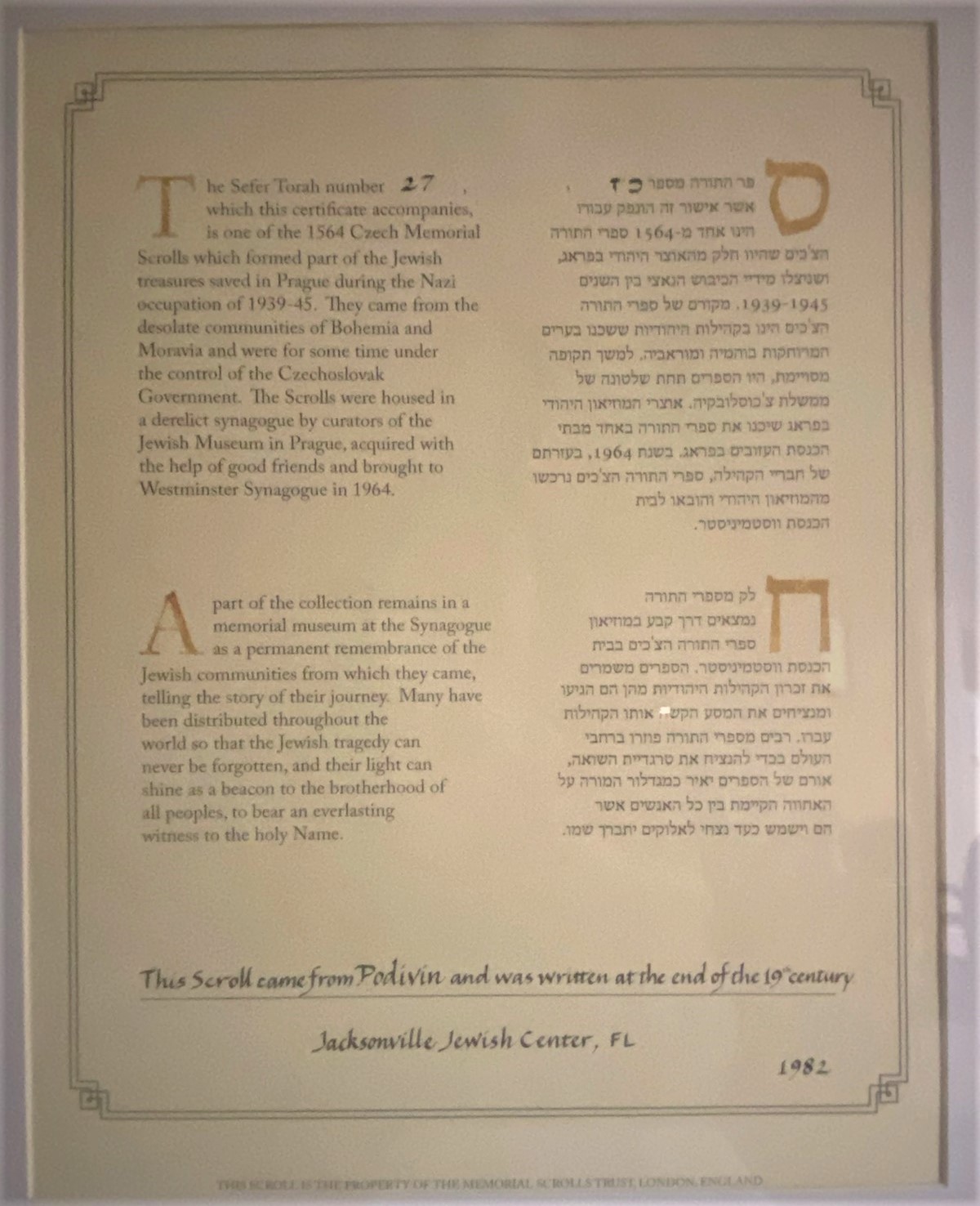 Podivin Scroll Close Up